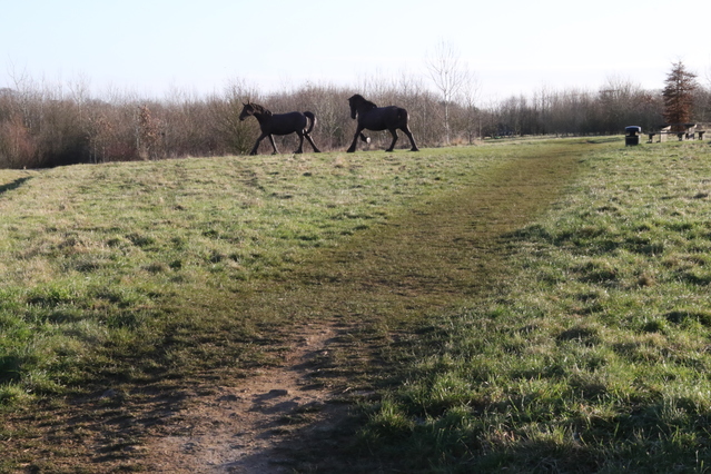 photo of Kilkenny Lane Country Park