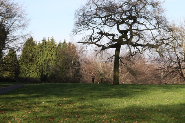 photo of Lawns Park