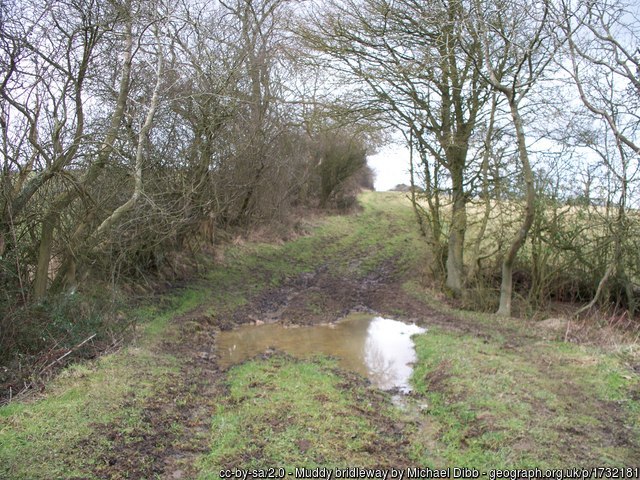 geograph photo 1732181 taken along the route