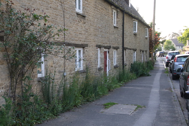 photo of the cottages on the south side of the green