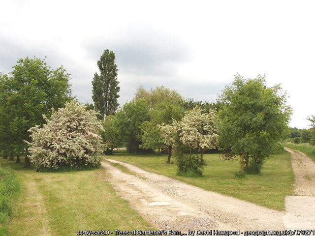 geograph photo 179271 taken along the route