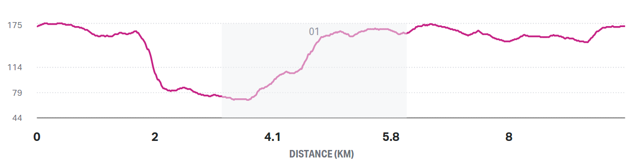 elevation profile of the race route