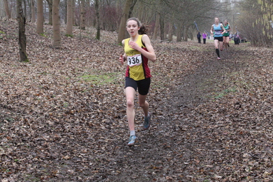 thumbnail for the story about the 2015 Chiltern XC League Match 5 at Teardrop Lakes (Milton Keynes)