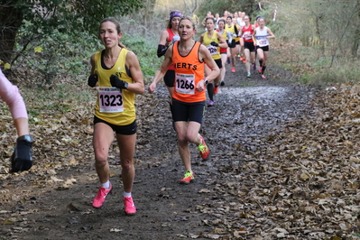 thumbnail for the story about the 2017 SEAA Masters and Inter County XC Championships