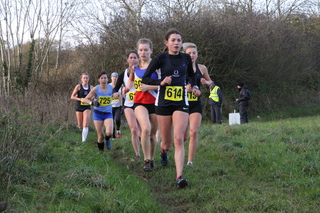 example of a race photo