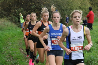 example of a race photo